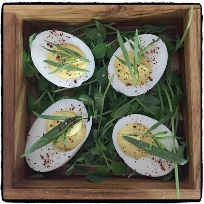 Deviled Eggs on a Bed of Pea Shoots with Fresh Tarragon, Aleppo Pepper & Salt from Black Eyed Suzie's Café and Catering Saugerties NY